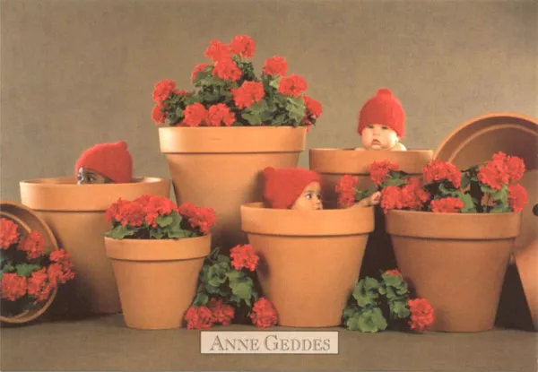 Фотографии детей Anne Geddes