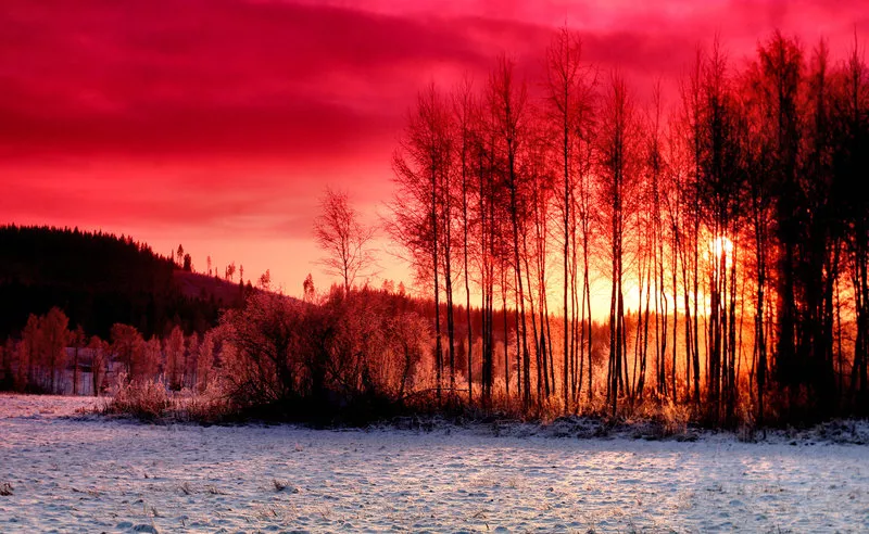 Зимние пейзажи Kari Liimatainen