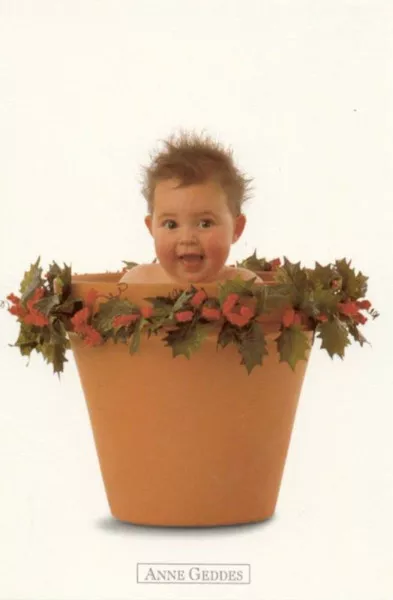 Фотографии детей Anne Geddes