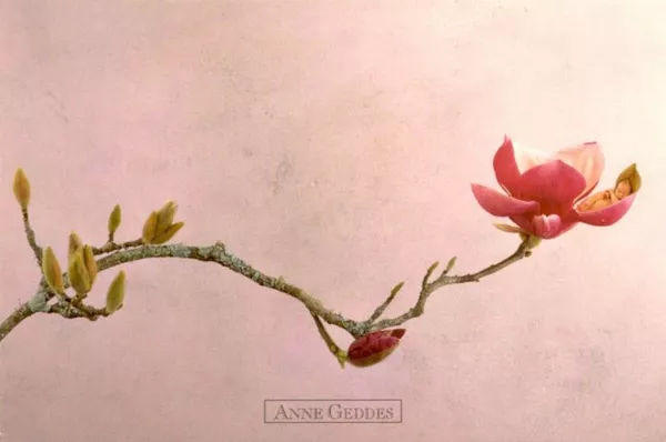 Фотографии детей Anne Geddes