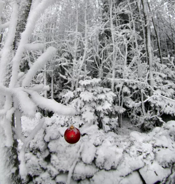 Зимние пейзажи Kari Liimatainen