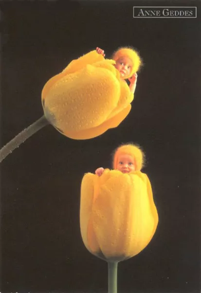 Фотографии детей Anne Geddes