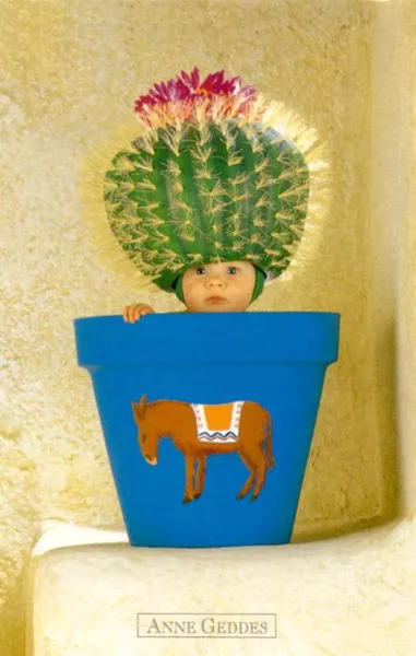 Фотографии детей Anne Geddes