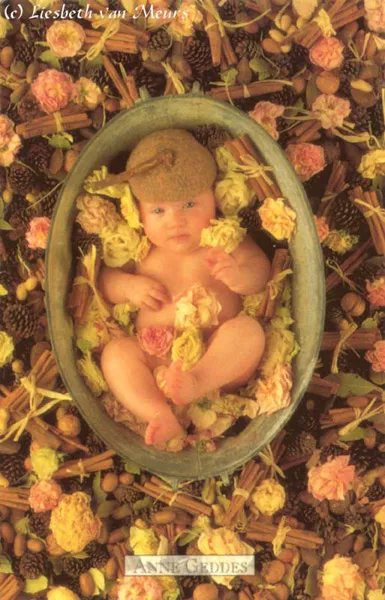 Фотографии детей Anne Geddes