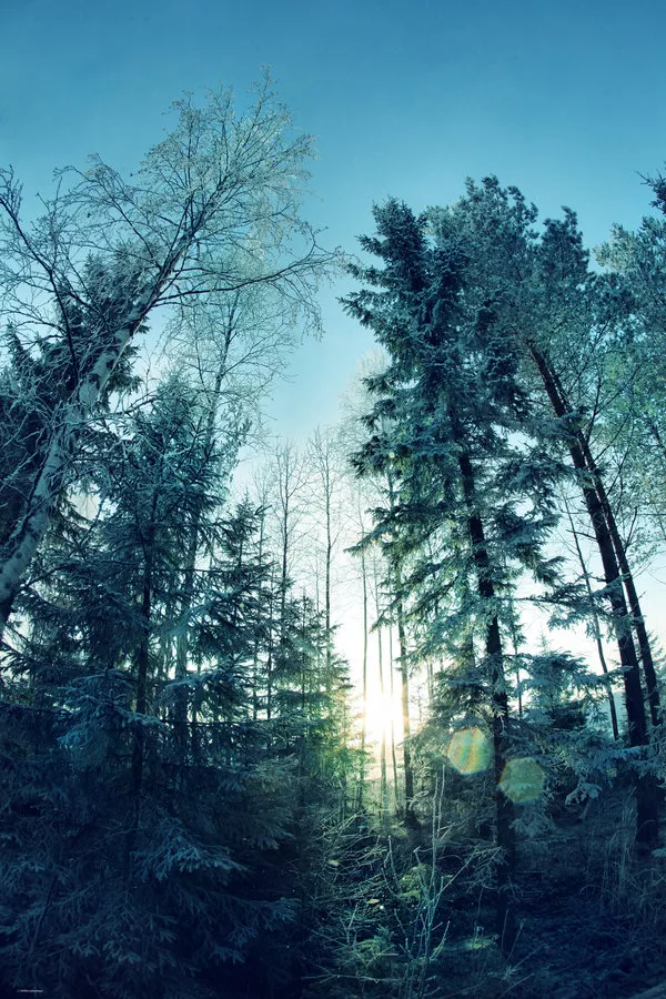 Зимние пейзажи Kari Liimatainen