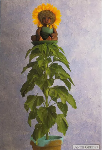 Фотографии детей Anne Geddes