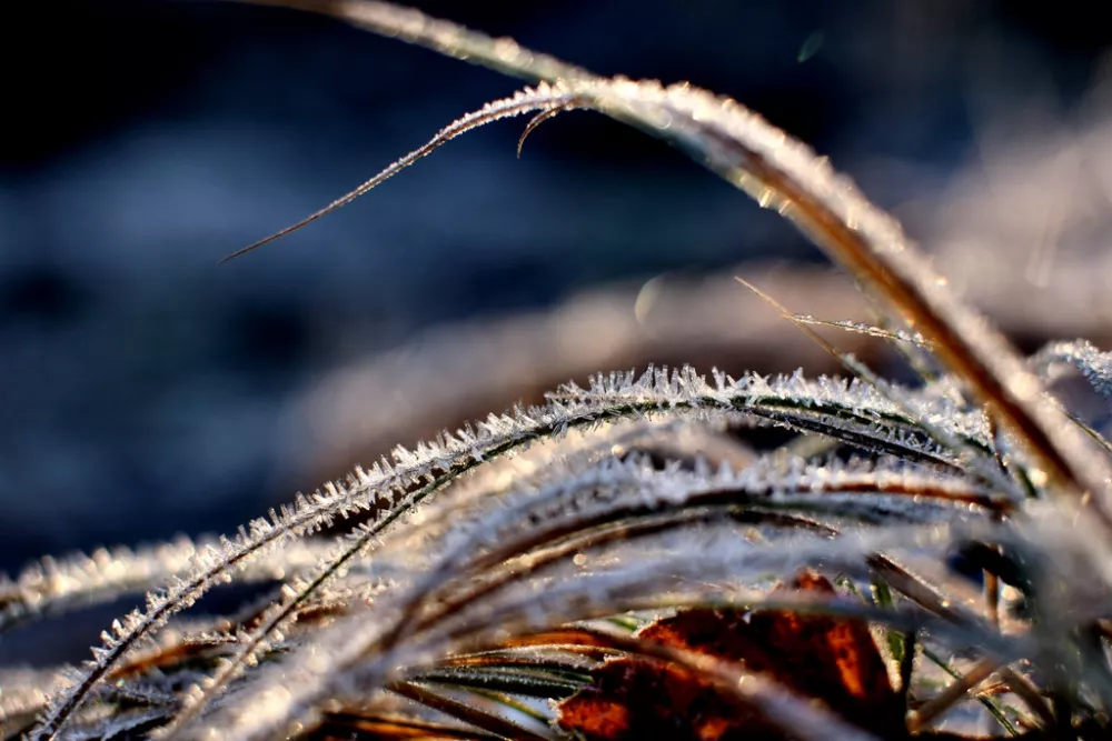 Зимние пейзажи Kari Liimatainen