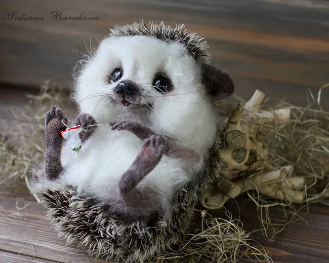 Очаровашки из войлока