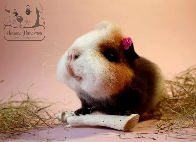 Очаровашки из войлока