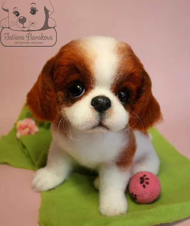 Очаровашки из войлока