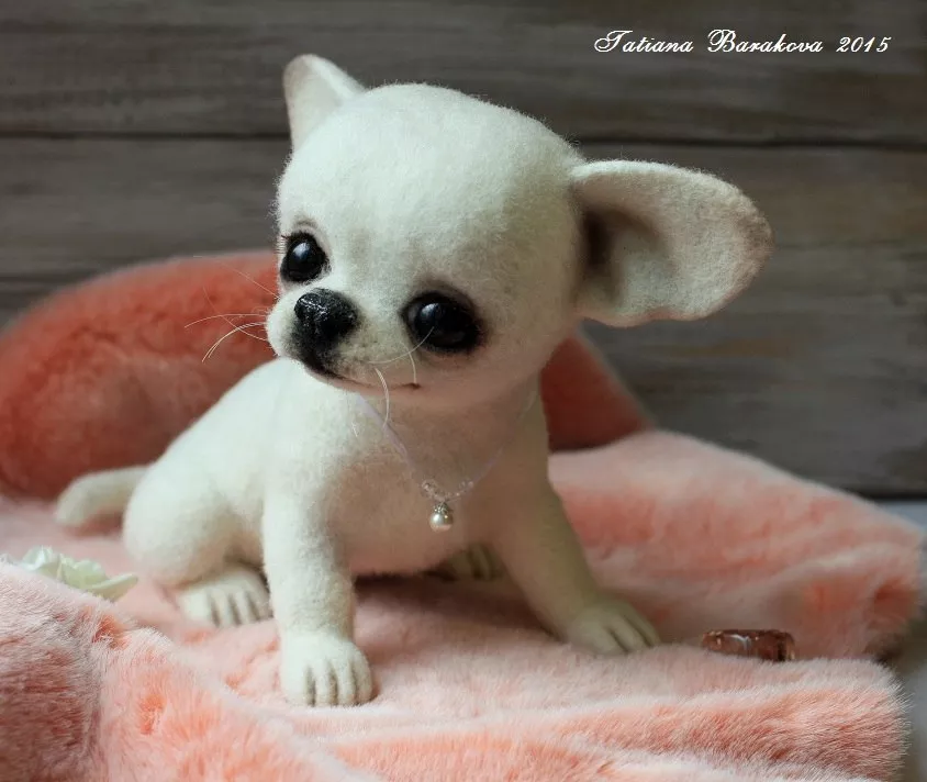 Очаровашки из войлока