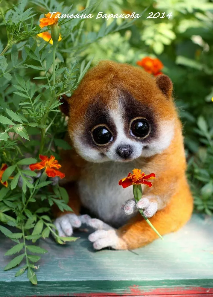 Очаровашки из войлока