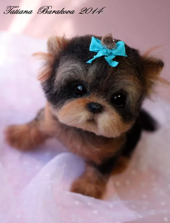 Очаровашки из войлока