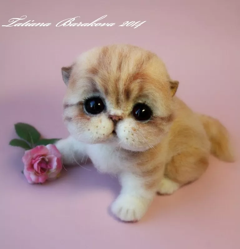 Очаровашки из войлока