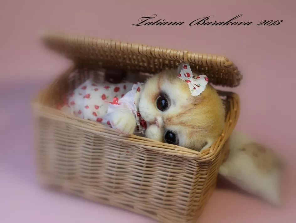 Очаровашки из войлока