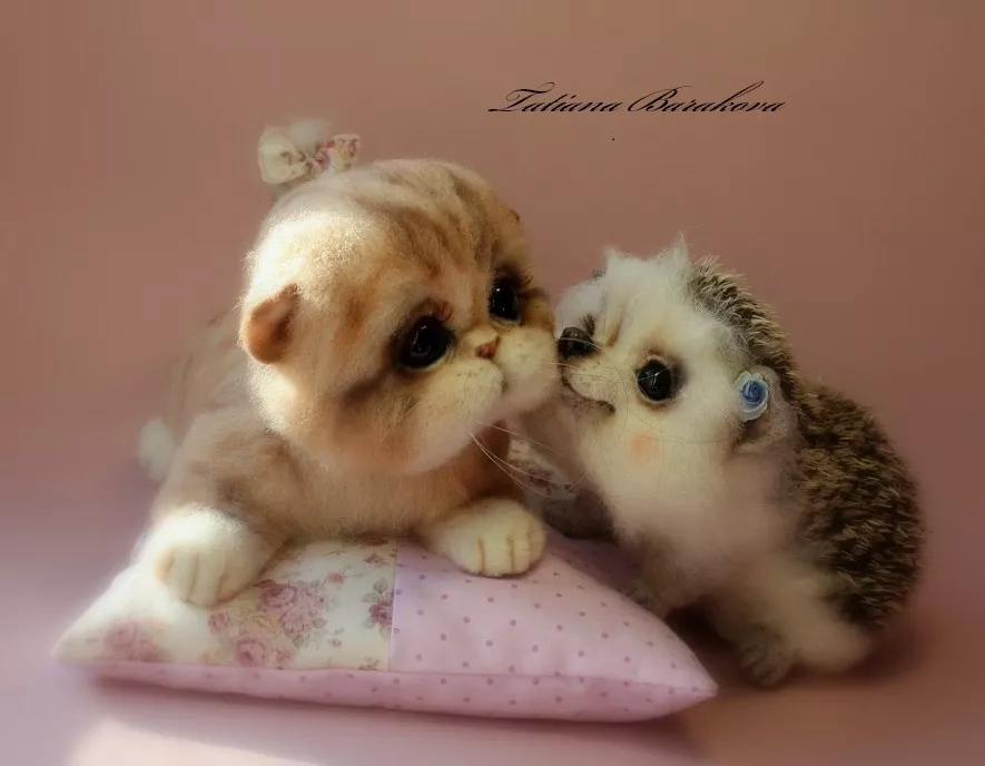 Очаровашки из войлока