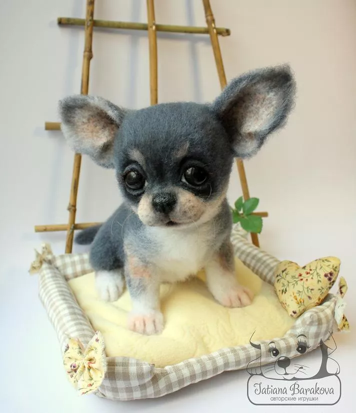 Очаровашки из войлока