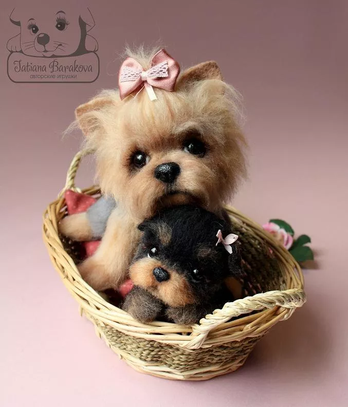 Очаровашки из войлока