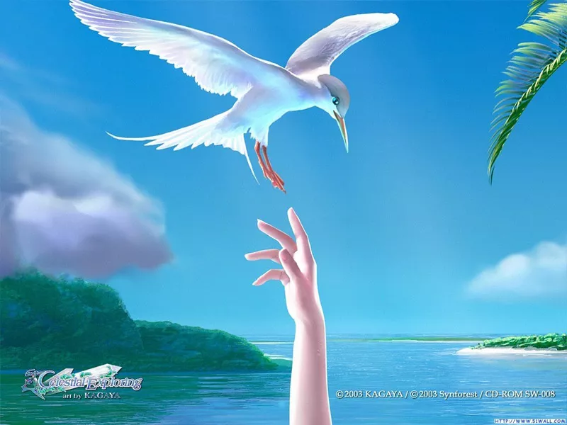  Звёздное небо Yutaka Kagaya