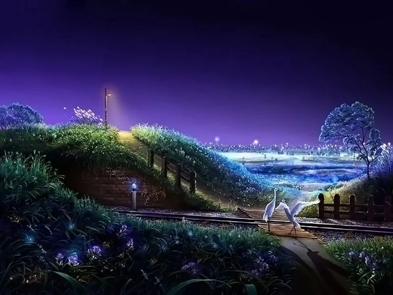  Звёздное небо Yutaka Kagaya