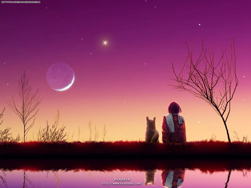  Звёздное небо Yutaka Kagaya