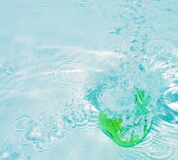 Макро фотографии Joakim Kraemer