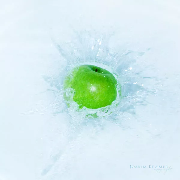 Макро фотографии Joakim Kraemer