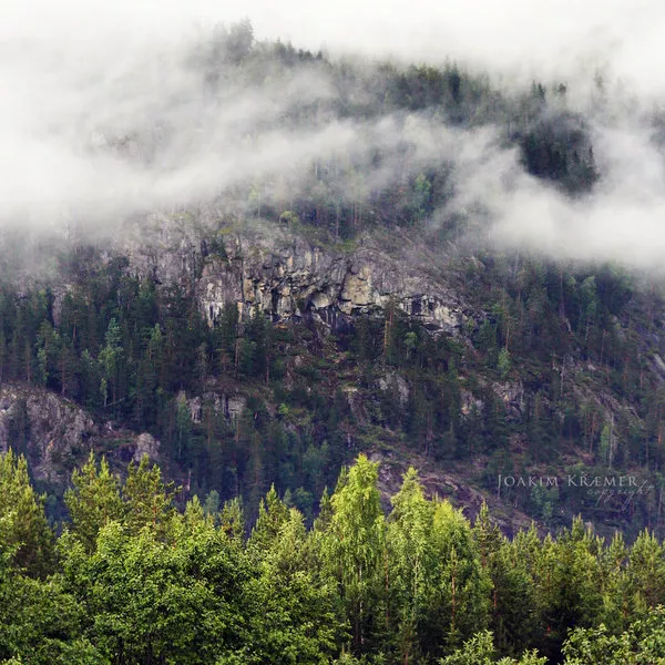 Макро фотографии Joakim Kraemer