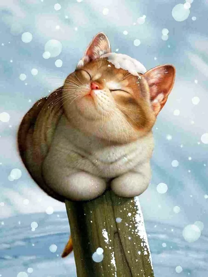 Плюшевая живопись Makoto Muramatsu