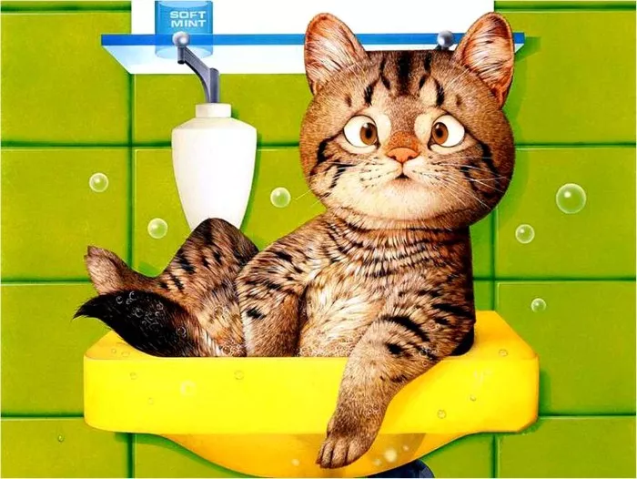 Плюшевая живопись Makoto Muramatsu