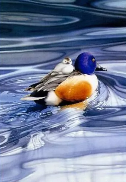 Плюшевая живопись Makoto Muramatsu