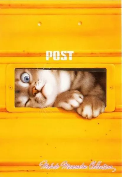 Плюшевая живопись Makoto Muramatsu