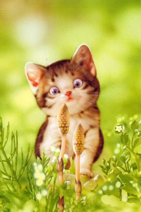 Плюшевая живопись Makoto Muramatsu