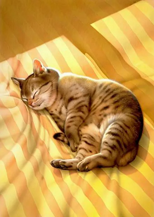 Плюшевая живопись Makoto Muramatsu