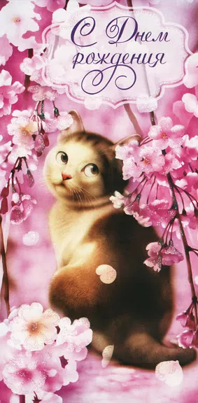 Плюшевая живопись Makoto Muramatsu