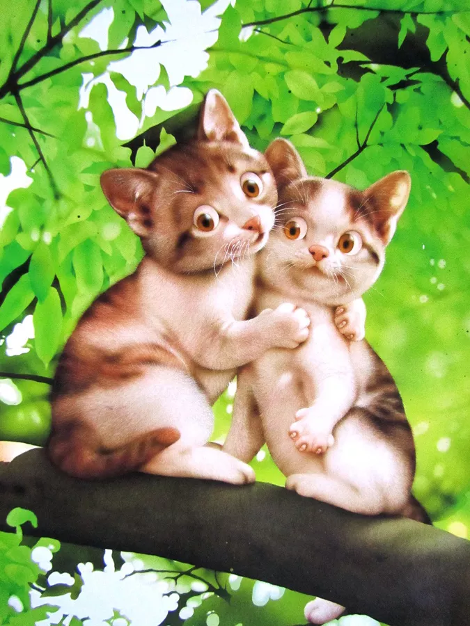 Плюшевая живопись Makoto Muramatsu