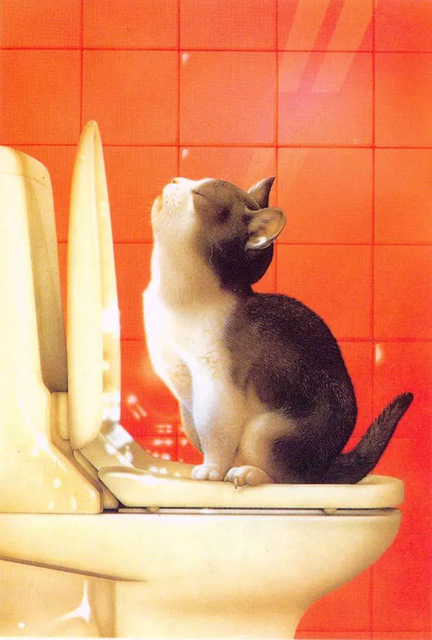 Плюшевая живопись Makoto Muramatsu