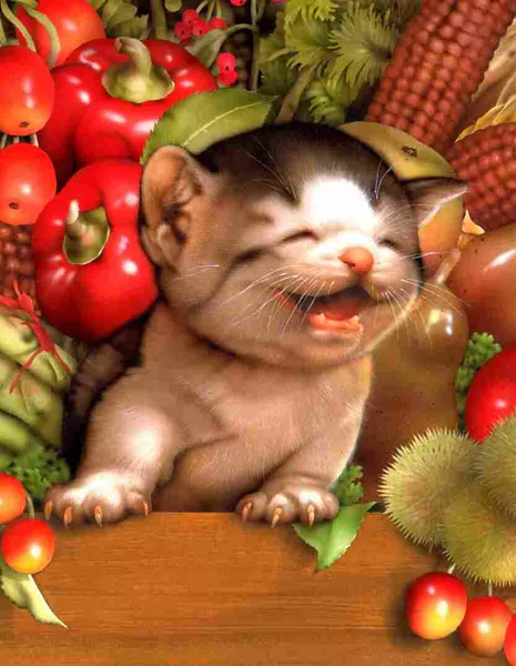 Плюшевая живопись Makoto Muramatsu