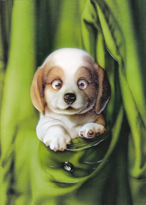 Плюшевая живопись Makoto Muramatsu