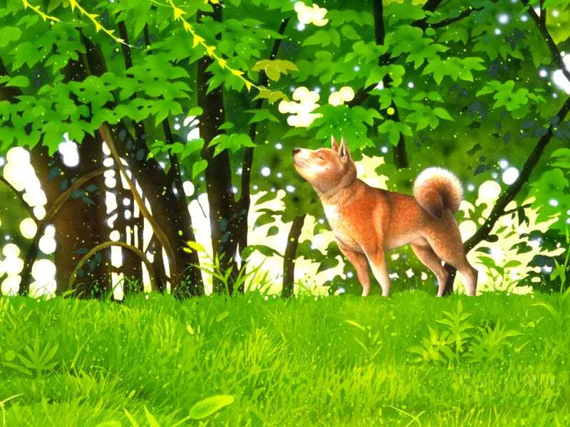 Плюшевая живопись Makoto Muramatsu
