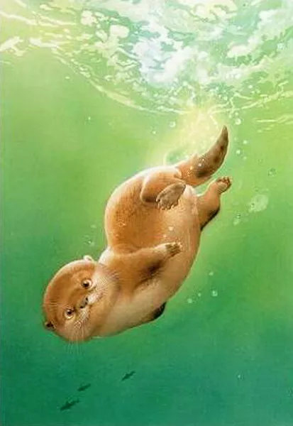 Плюшевая живопись Makoto Muramatsu