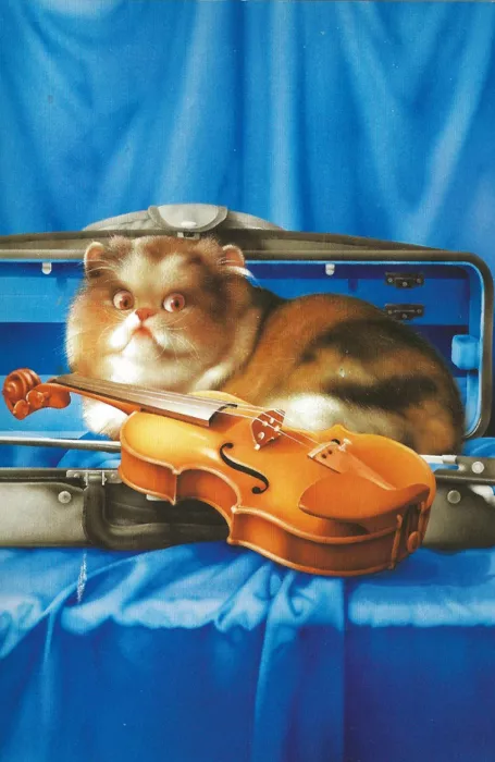 Плюшевая живопись Makoto Muramatsu