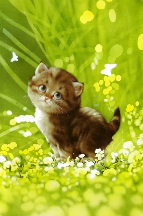 Плюшевая живопись Makoto Muramatsu