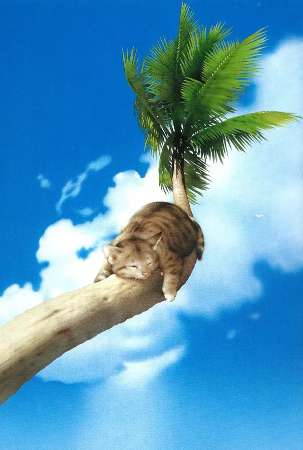 Плюшевая живопись Makoto Muramatsu