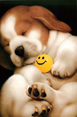 Плюшевая живопись Makoto Muramatsu