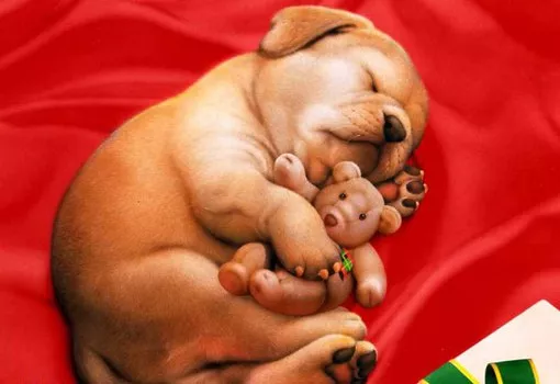 Плюшевая живопись Makoto Muramatsu