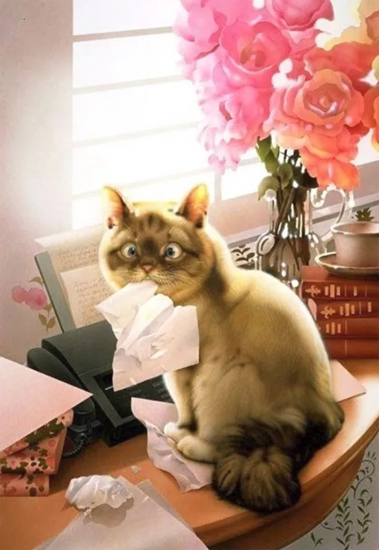 Плюшевая живопись Makoto Muramatsu