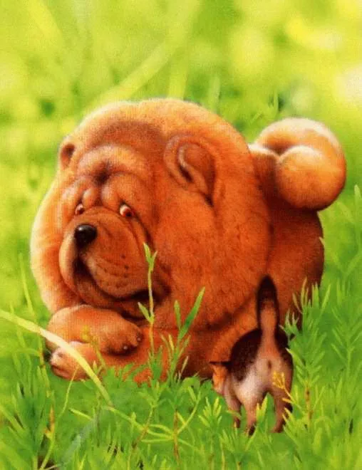 Плюшевая живопись Makoto Muramatsu