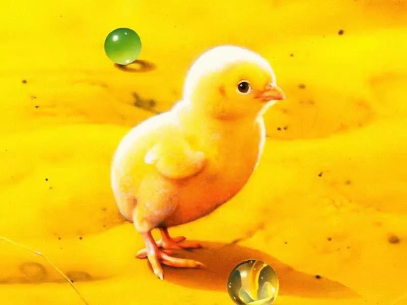 Плюшевая живопись Makoto Muramatsu