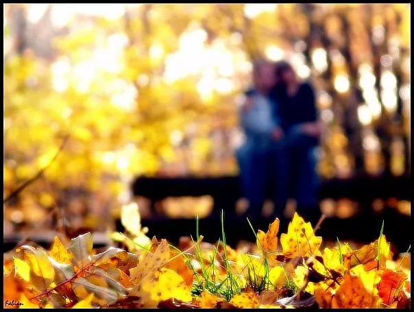 Осень для влюбленных